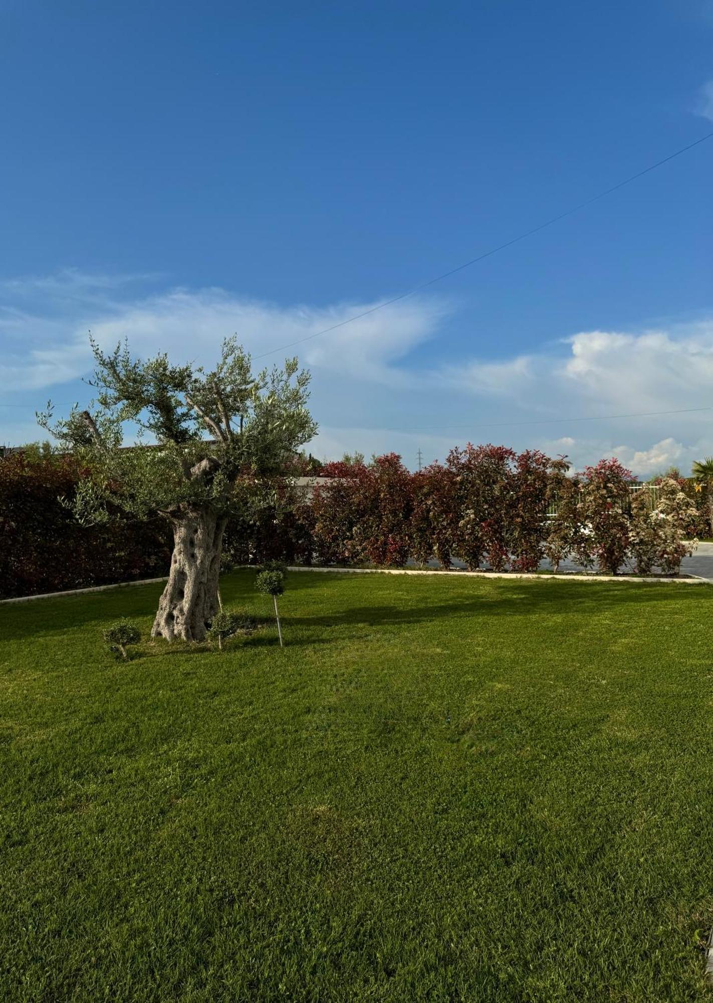 Villa Esmi Durres Kryemëdhej Kültér fotó
